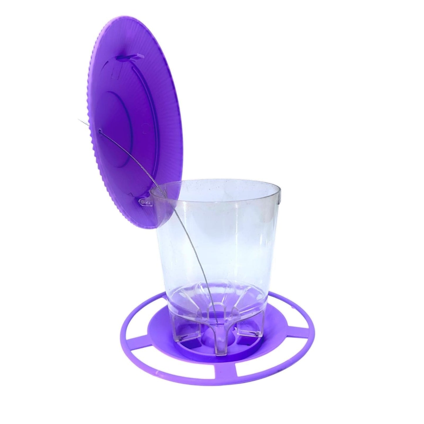 Bird Hanging Feeder