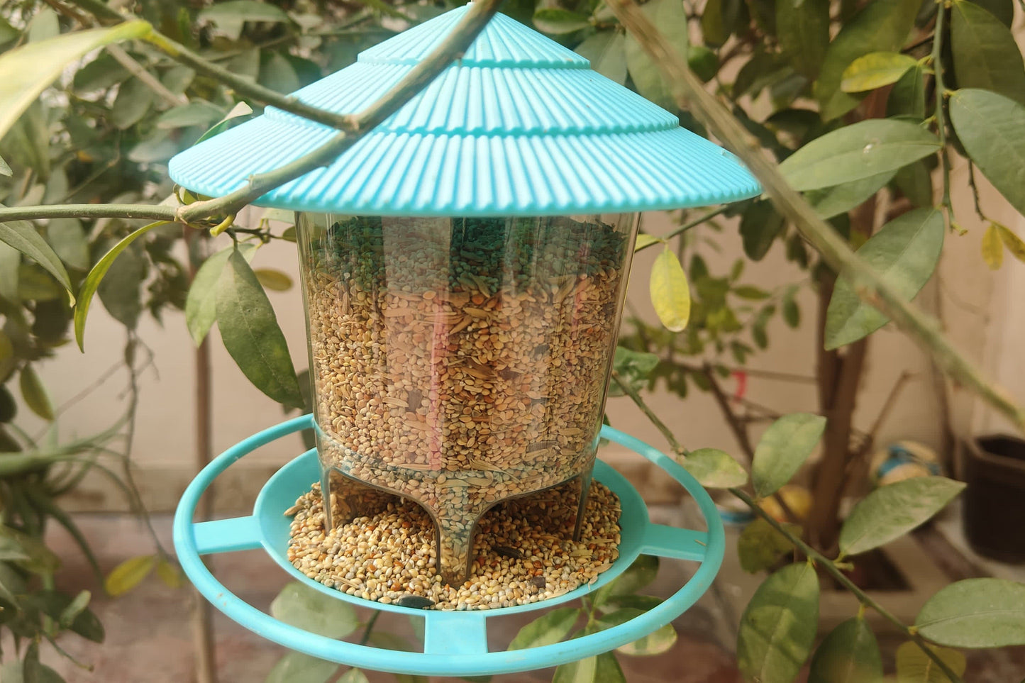 Bird Hanging Feeder