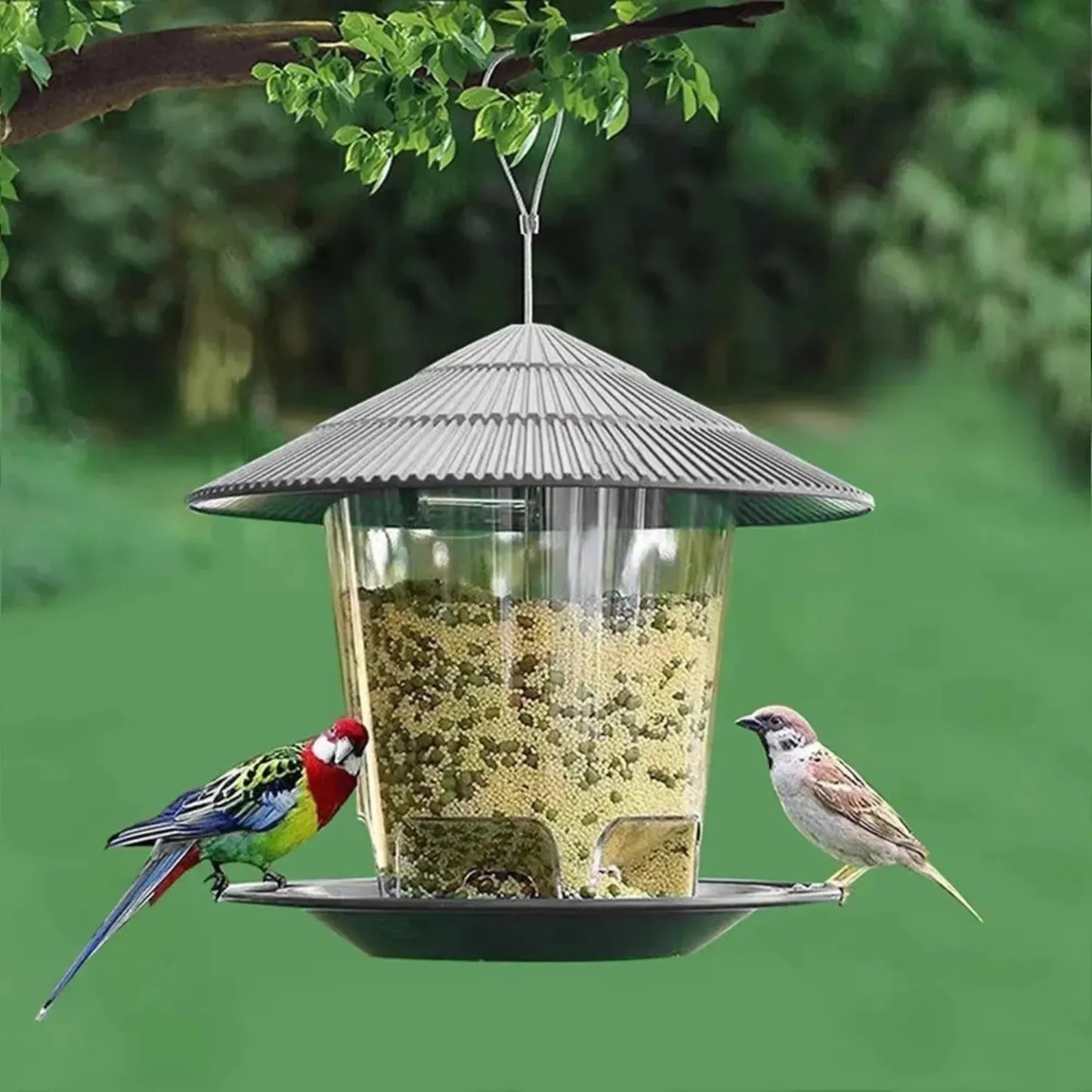 Bird Hanging Feeder
