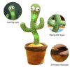 nteractive Dancing Cactus Toy – Singing, Talking, Voice Recording Plush With Usb Rechargeable Function – Fun Educational Gift For Babies And Kids (ages 6 Months & Up) – Rechargeable & With Box ₨922